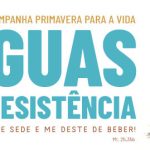 banner-site