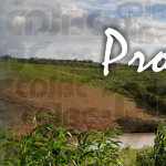 CAB_SITE_cdjbc6
